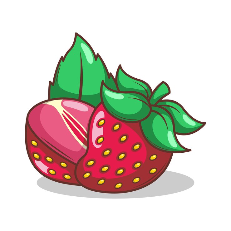 वेक्टर hand drawn strawberry fruit illustration art