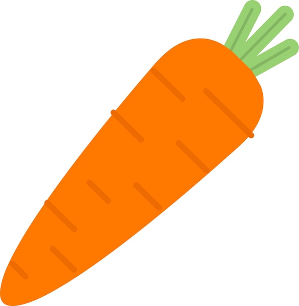 Vector hand drawn style fruit carrot