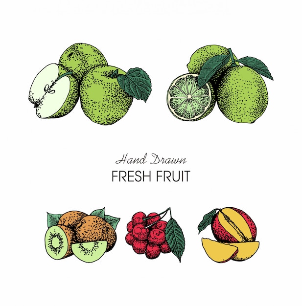 Hand drawn style fruits collection