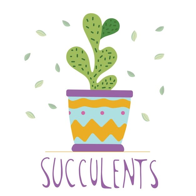 Vector hand drawn succulent in a colourful ceramic pot doodle style isolated on a white background