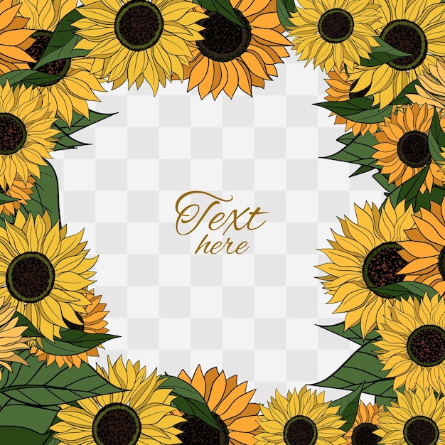 hand drawn sunflower flower blooming frame botanical summer yellow flowers plant