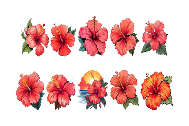 Hand drawn Sunset Hibiscus flower arrangement clipart