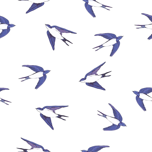 Vector hand drawn swallow bird seamless vector pattern