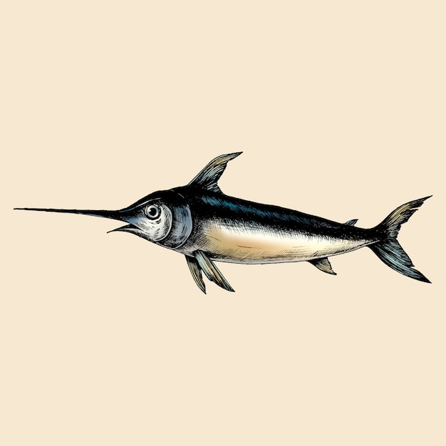 Hand drawn swordfish isolated