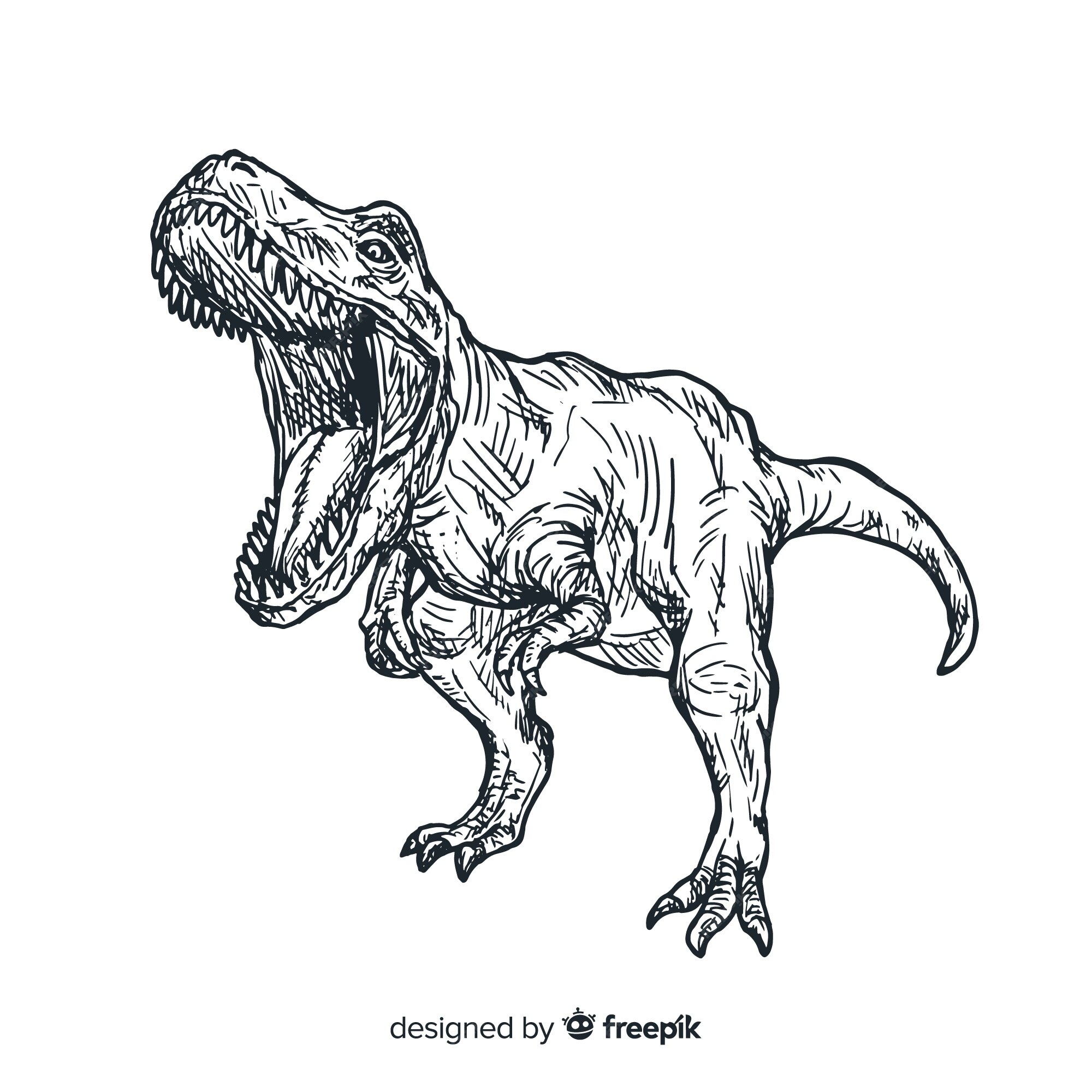 Editable vector hand drawing illustration of Tyranosaurus Rex or T