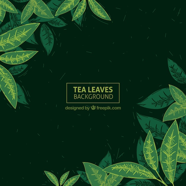 Hand drawn tea leaves background