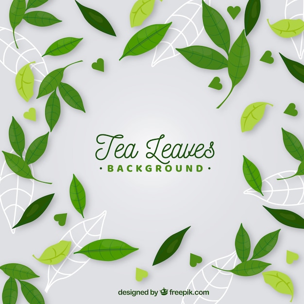 Hand drawn tea leaves background