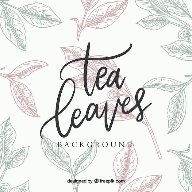 Vector hand drawn tea leaves background