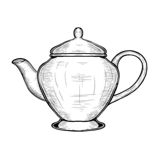 Vector hand drawn tea pot vector illustration