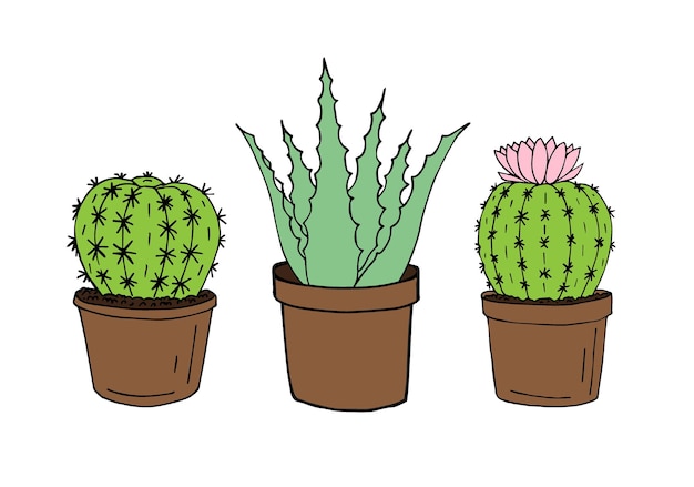 Disegnati a mano tre cactus e aloe in vaso