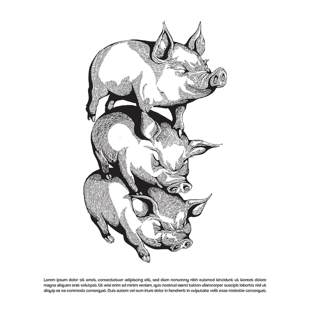 손으로 그려진 세 마리의 돼지가 토템과 같은 형식 터 일러스트레이션으로 서로 쳐져 있습니다.