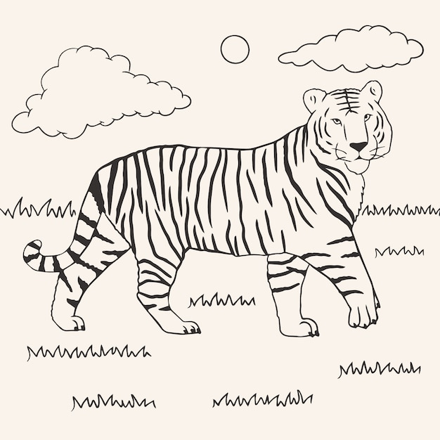 Hand drawn tiger outline illustration