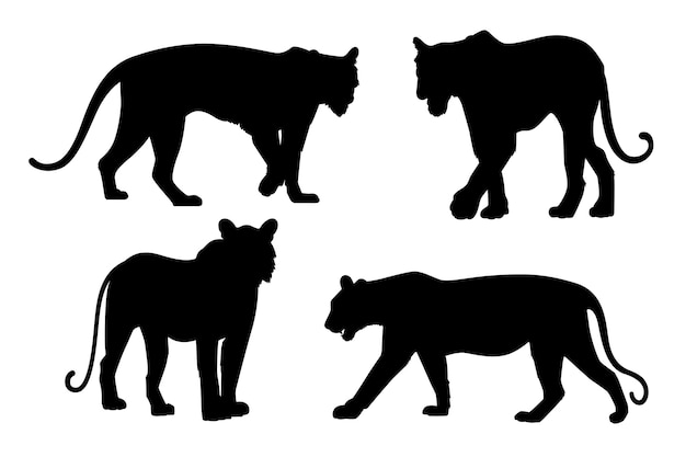 Vector hand drawn tiger  silhouette collection