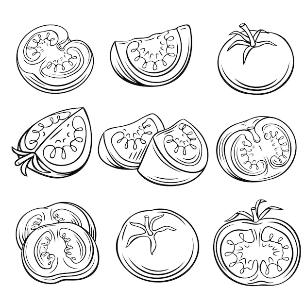 Hand drawn tomato set.