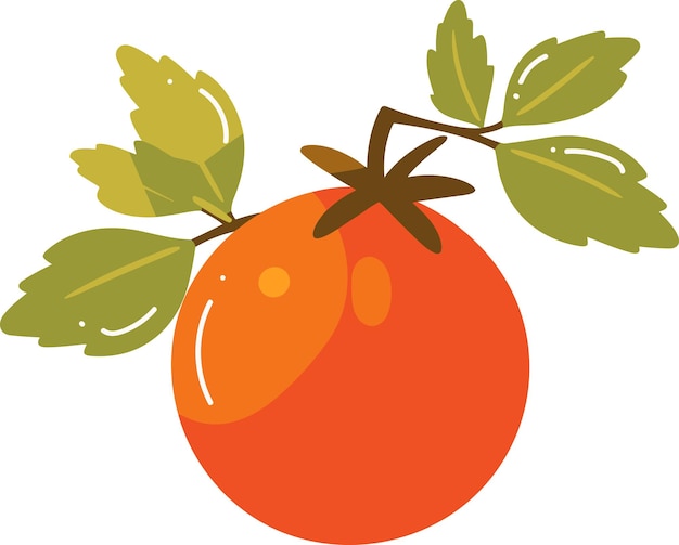 Hand Drawn tomatoes with twigs in flat style isolated on background