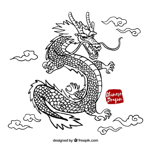 Hand drawn traditional chinese dragon