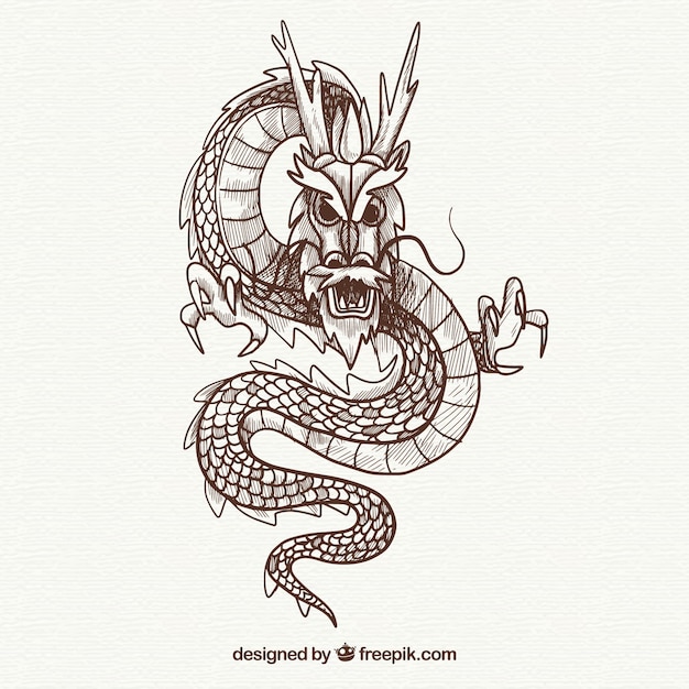 Vettore drago cinese tradizionale disegnato a mano