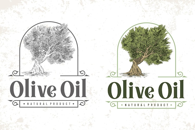 hand drawn traditional olive oil logo