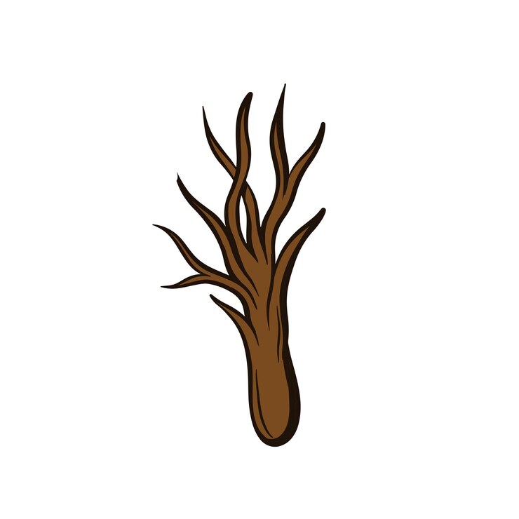 Vector hand drawn tree branch clipart
