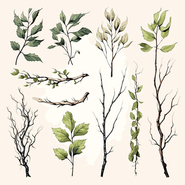 Vector hand drawn tree branches and leaves set illustration