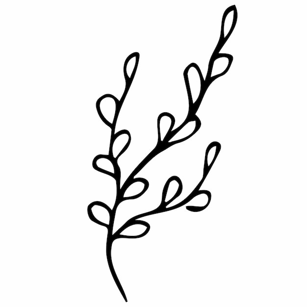 Hand drawn tree branches,vector doodle botanical element