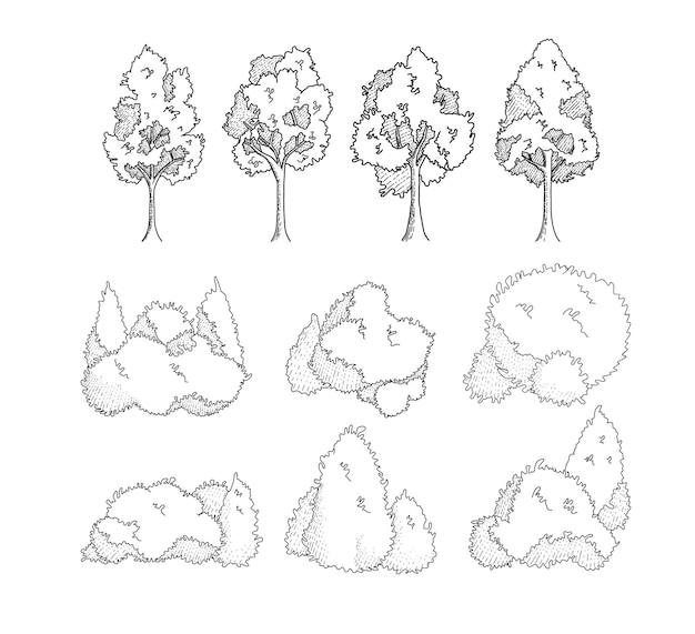 Hand-drawn tree and bushes illustrations