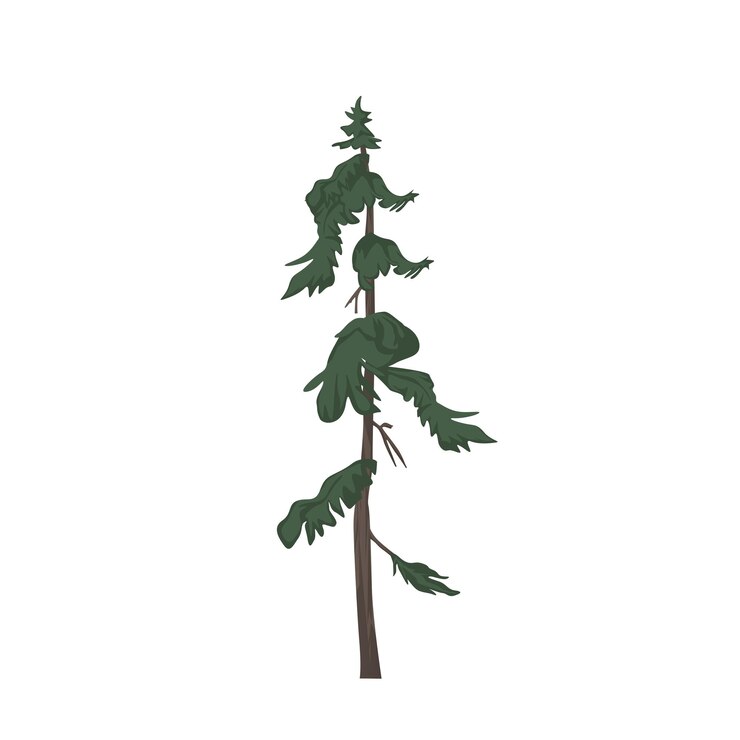 Vector hand drawn tree illustration