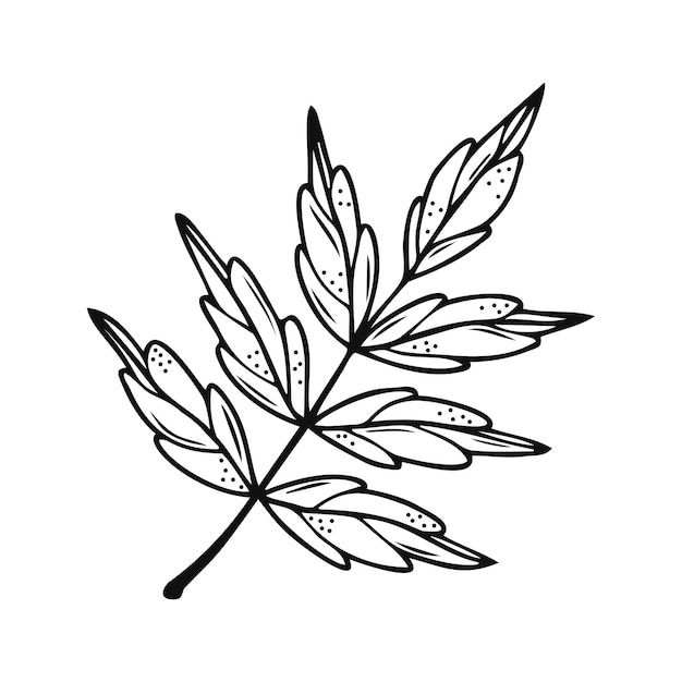 Hand drawn tree leaf twig floral element