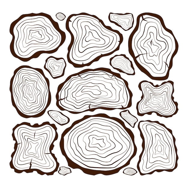 Hand drawn tree sections