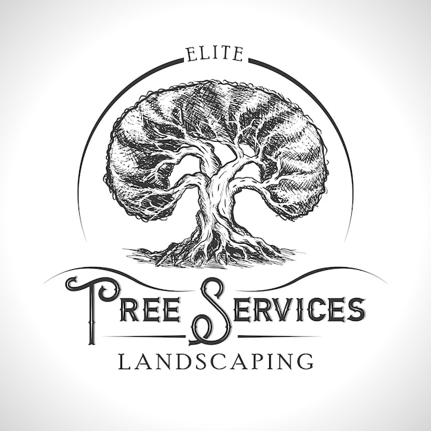 HAND DRAWN TREE SERVICE ILLUSTRATION