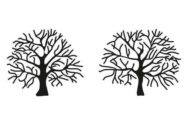 Vector hand drawn tree vector collection set