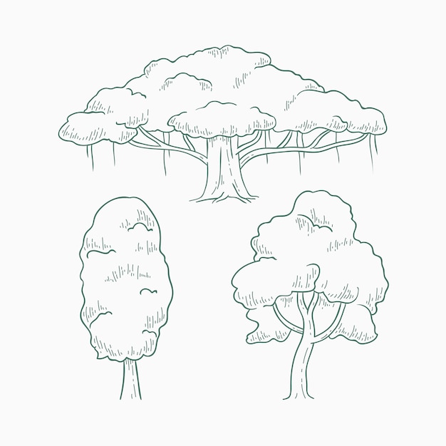 Illustrazione del profilo degli alberi disegnati a mano