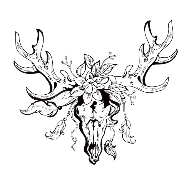 Vector hand drawn  tribal deer skull in boho style