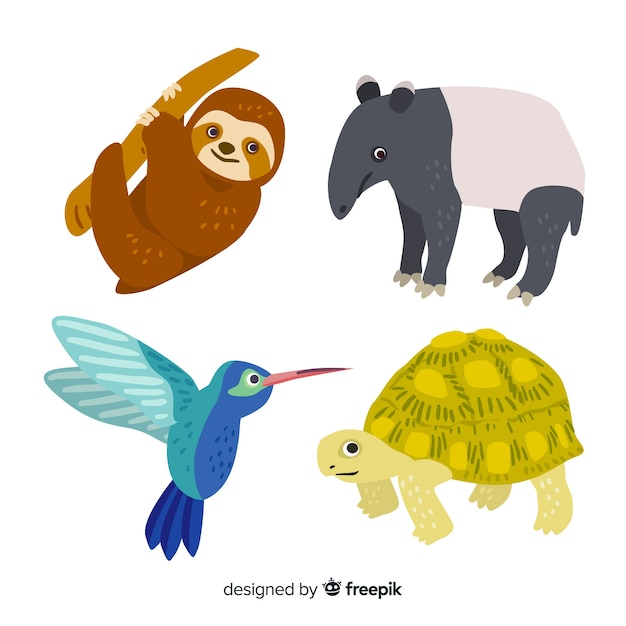 Collezione di animali tropicali disegnati a mano