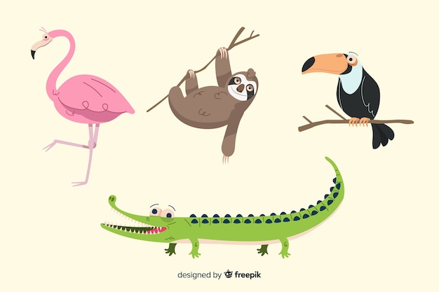 Vector hand drawn tropical animal collection