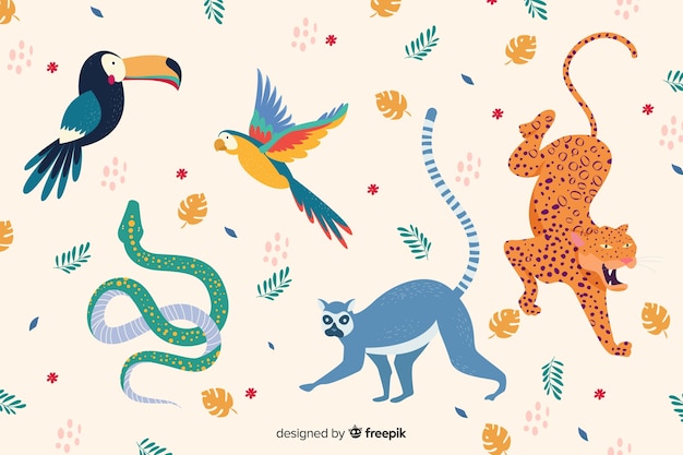 Vector hand drawn tropical animal collection