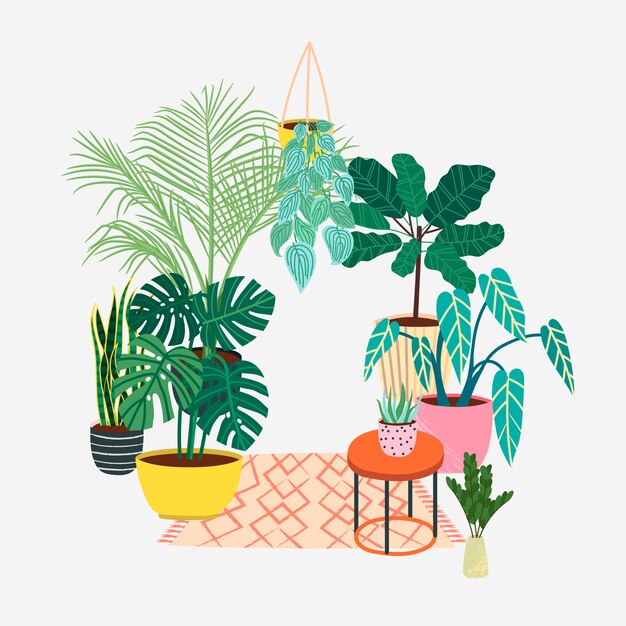 Vettore piante domestiche tropicali disegnate a mano. piante d'appartamento popolari: monstera, palma, ficus, dracaena. illustrazione in stile scandinavo, arredamento moderno ed elegante. piante da appartamento da casa.