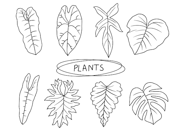 ベクトル 手描きの熱帯の葉落書きクリップアート植物植物は、装飾ベクトルモンステラの葉フィロデンドロンの葉の黒と白のデザイン要素を概説します