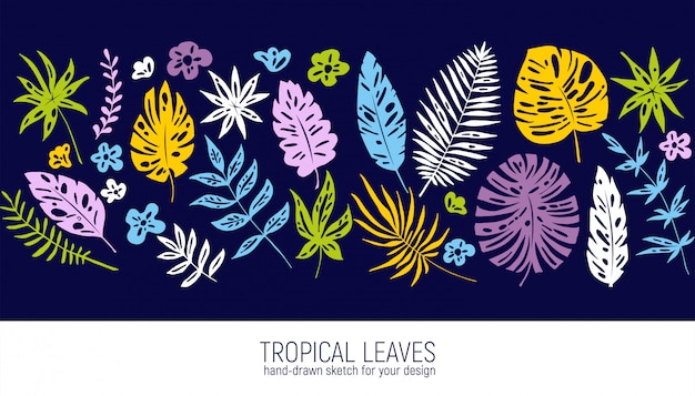 Hand drawn tropical leaves