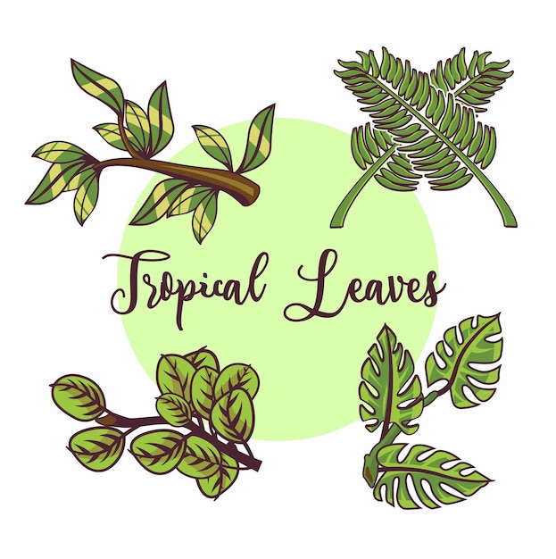 ベクトル 手描きの熱帯の葉