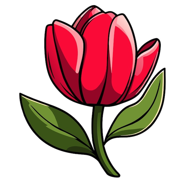 Vector hand drawn tulip cartoon illustration