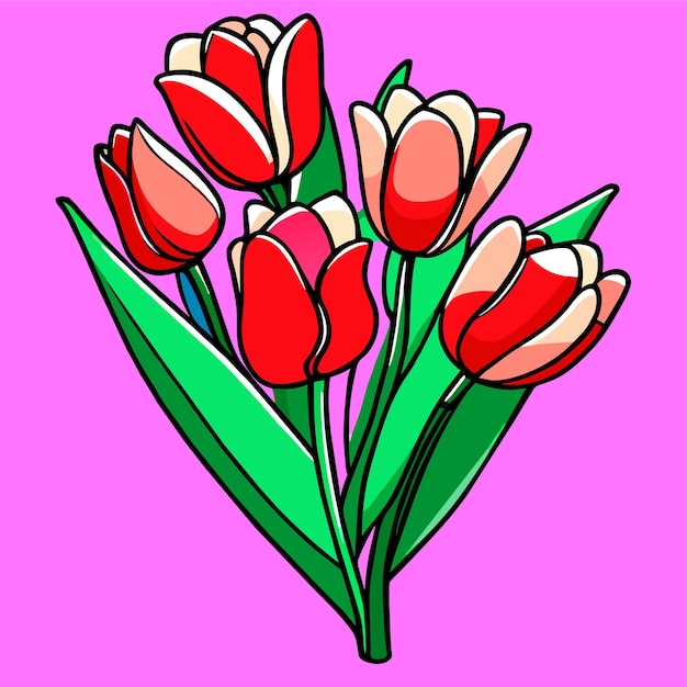 Hand drawn tulip cartoon illustration