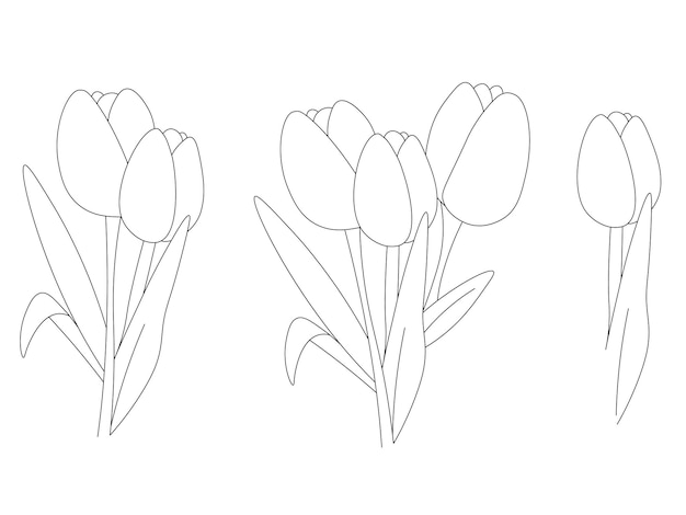 Tulipani disegnati a mano per colorare e icone