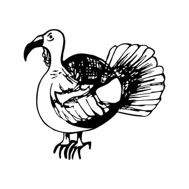 七面鳥の手描きグリーティングカードや季節の感謝祭のデザインメニュー用落書きイラスト