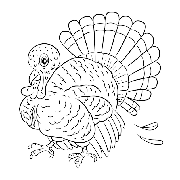 Vector hand drawn turkey outline illustration