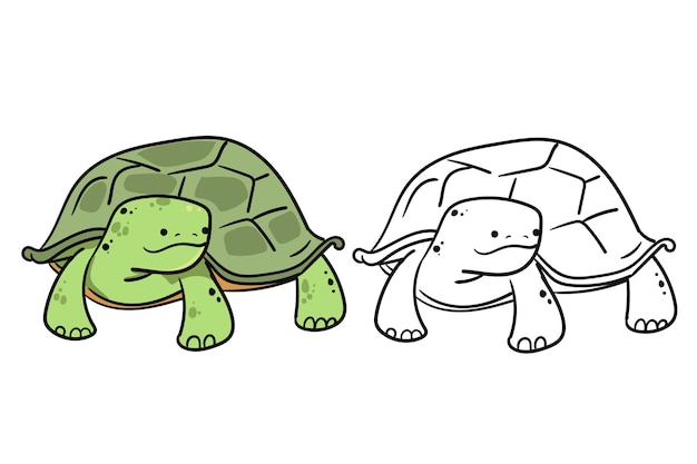 Vector hand drawn turtle outline illustration