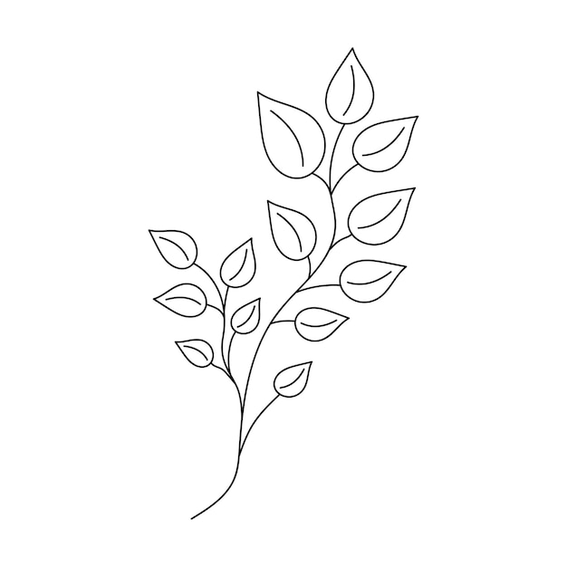 Vector hand drawn twig in line art doodle style botanical decorative element