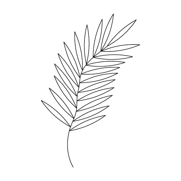 Vector hand drawn twig in line art doodle style botanical decorative element