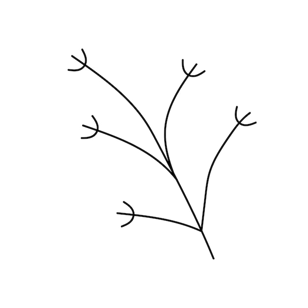 Hand drawn twig in line art doodle style Botanical decorative element