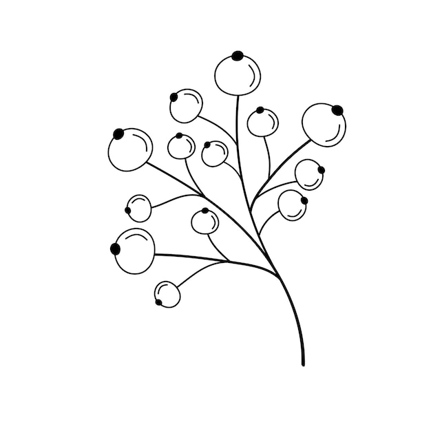 Hand drawn twig with berries in line art doodle style Botanical decorative element